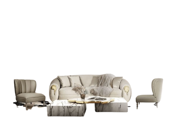 Designer Furniture Set